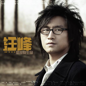 三上退役免费播放电影
